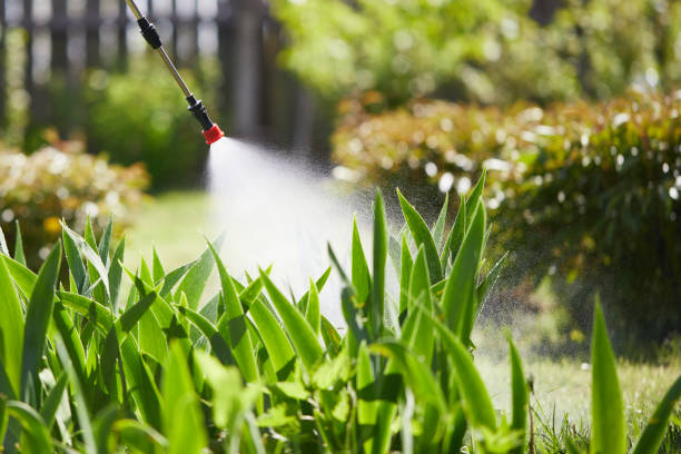Void Injection for Cockroach Colonies in Pleasanton