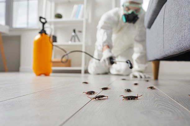 Commercial Kitchen Cockroach Control in Pleasanton
